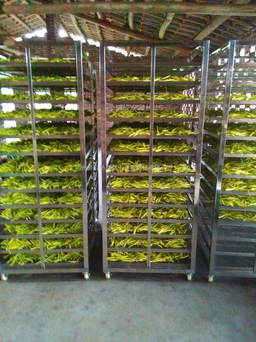 黃花菜烘干機、黃花菜烘干設(shè)備、黃花菜干燥機、黃花菜干燥設(shè)備、
