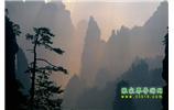 張家界國家森林公園、寶峰湖/黃龍洞、鳳凰古城、三峽八日游